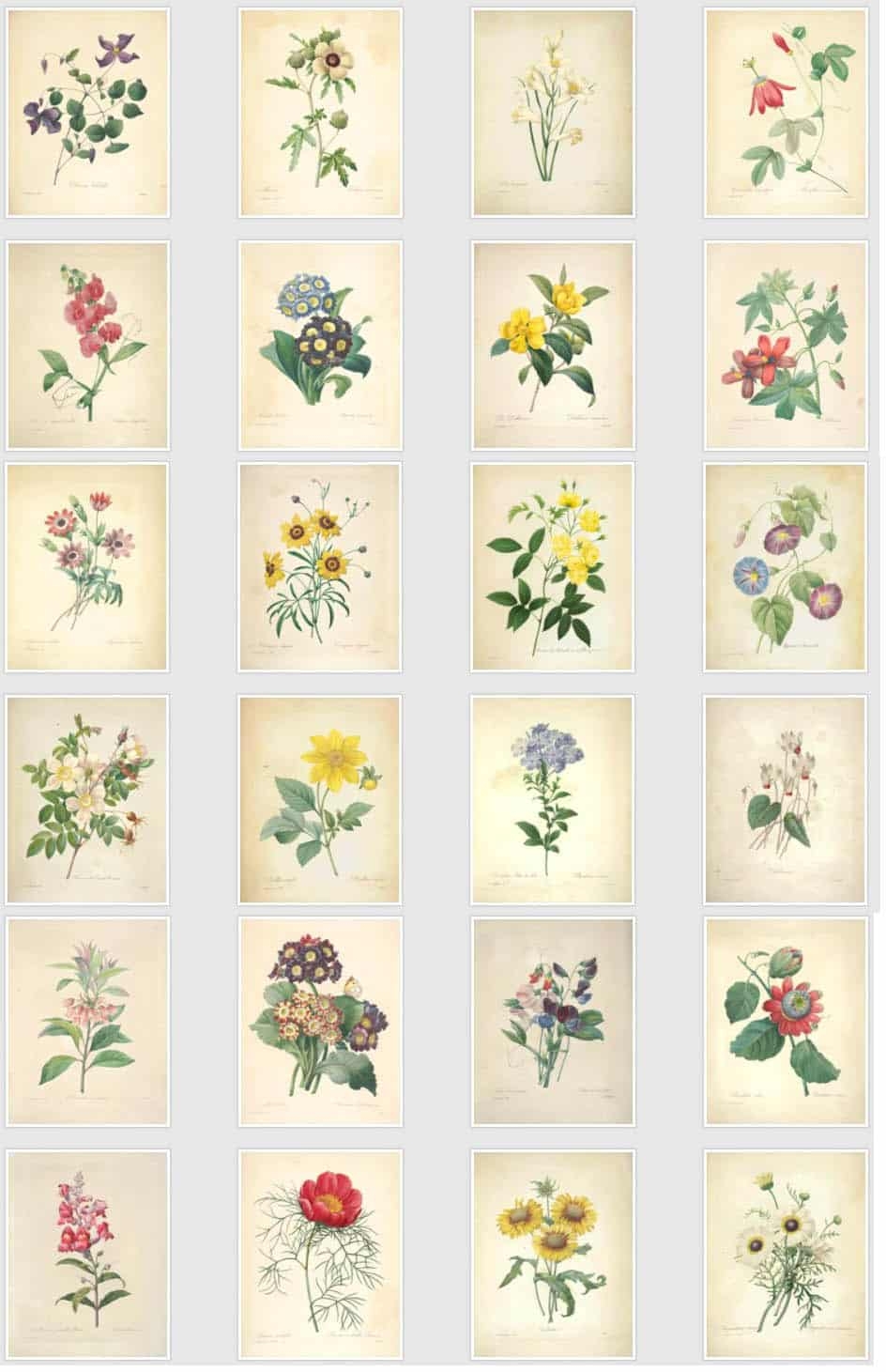 50 Beautiful Free Vintage Botanical Prints Free Printable 50 Beautiful Free Vintage Botanical Prints Free Printable