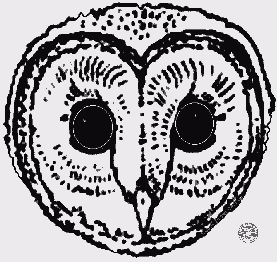 A Barn Owl Mask To Print The Barn Owl Trust A Barn Owl Mask To Print The Barn Owl Trust