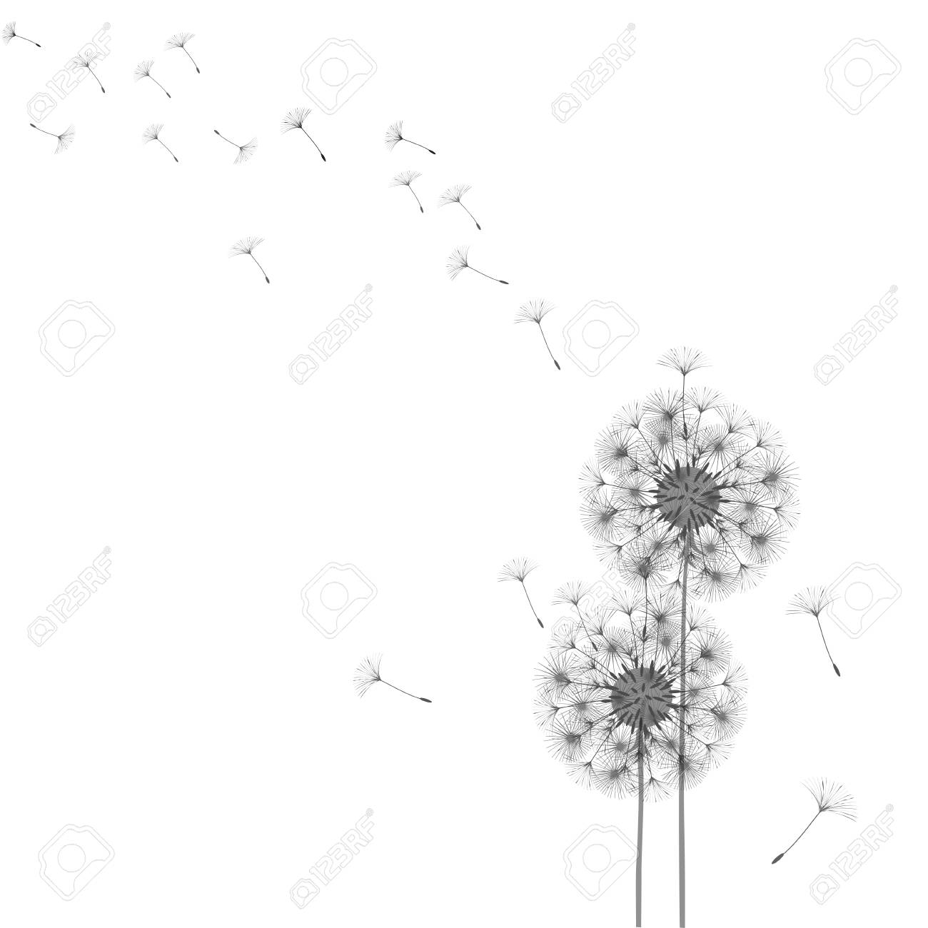 Abstract Dandelion Template Design Royalty Free SVG Cliparts 