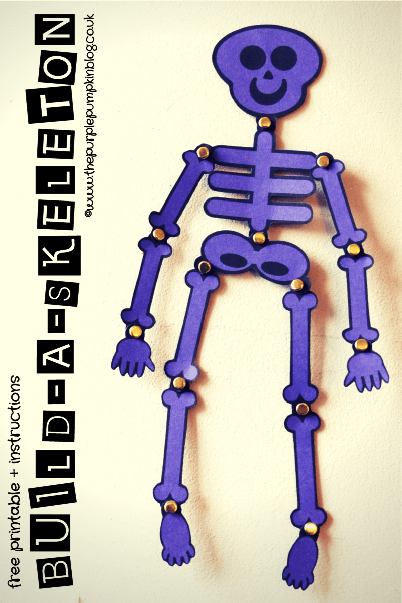 Build A Skeleton Free Printable Instructions Build A Skeleton Free Printable Instructions