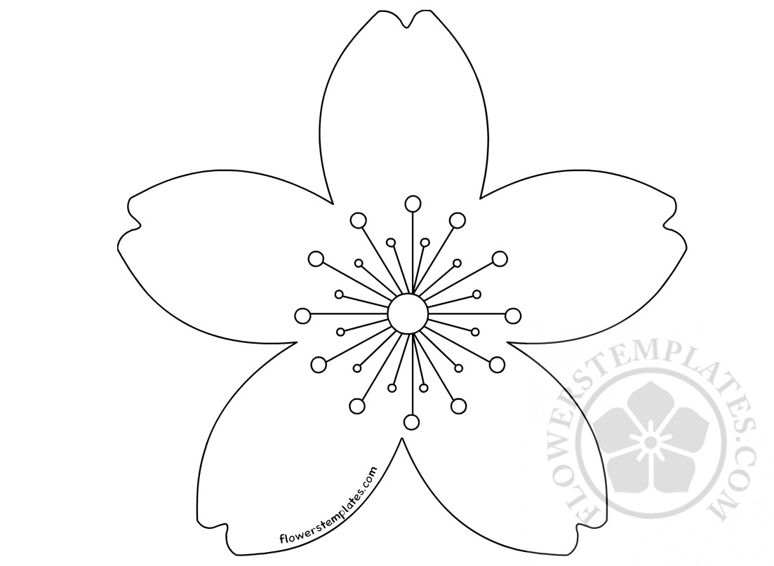 Cherry Blossom Template Flowers Templates