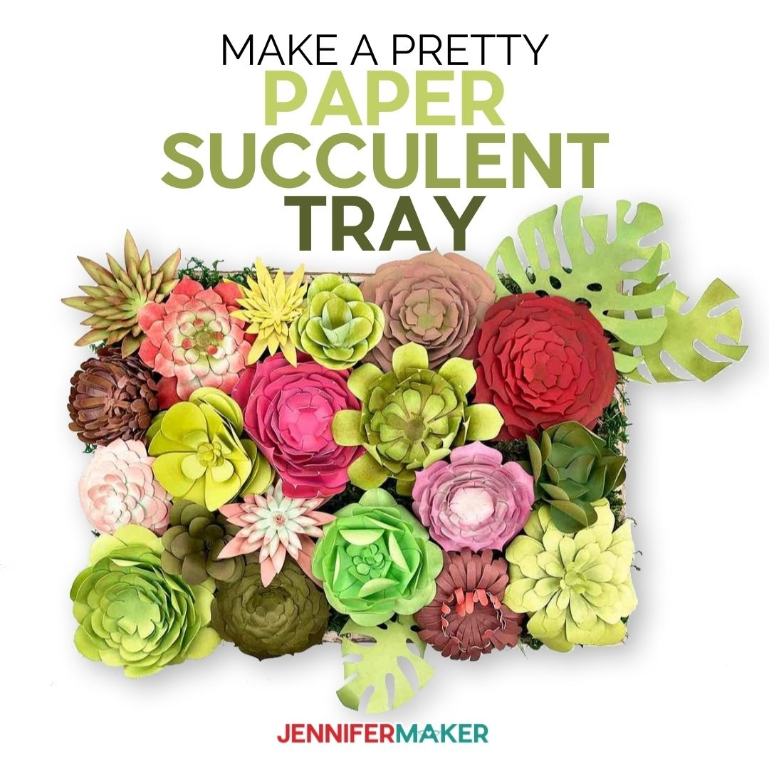 DIY Paper Succulents 18 Free Templates Display Idea Jennifer