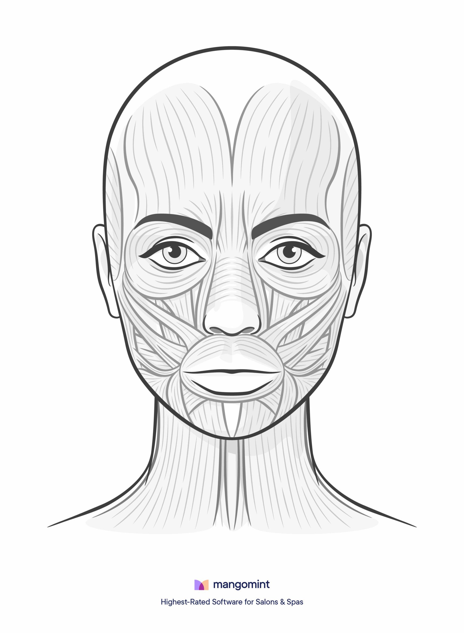 Face Charts Templates For Spas Salons And Tattoo Shops Mangomint Salon And Spa Software