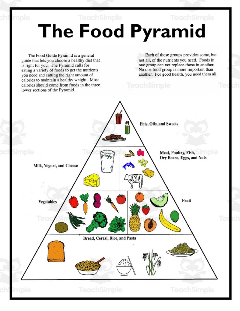 Food Pyramid Worksheet Food Pyramid Worksheet