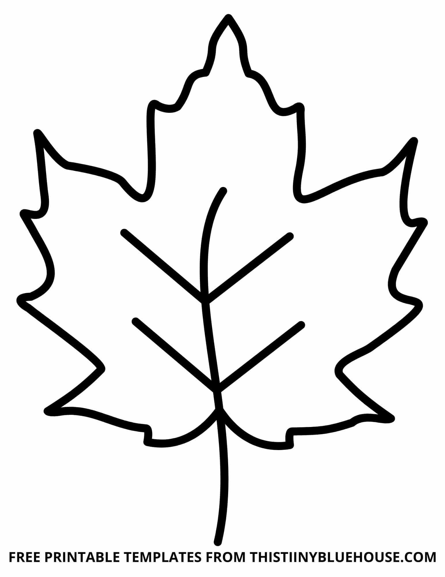 Free Leaf Template Printable 6 Sizes Of Leaf Outlines Small Worksheets Library