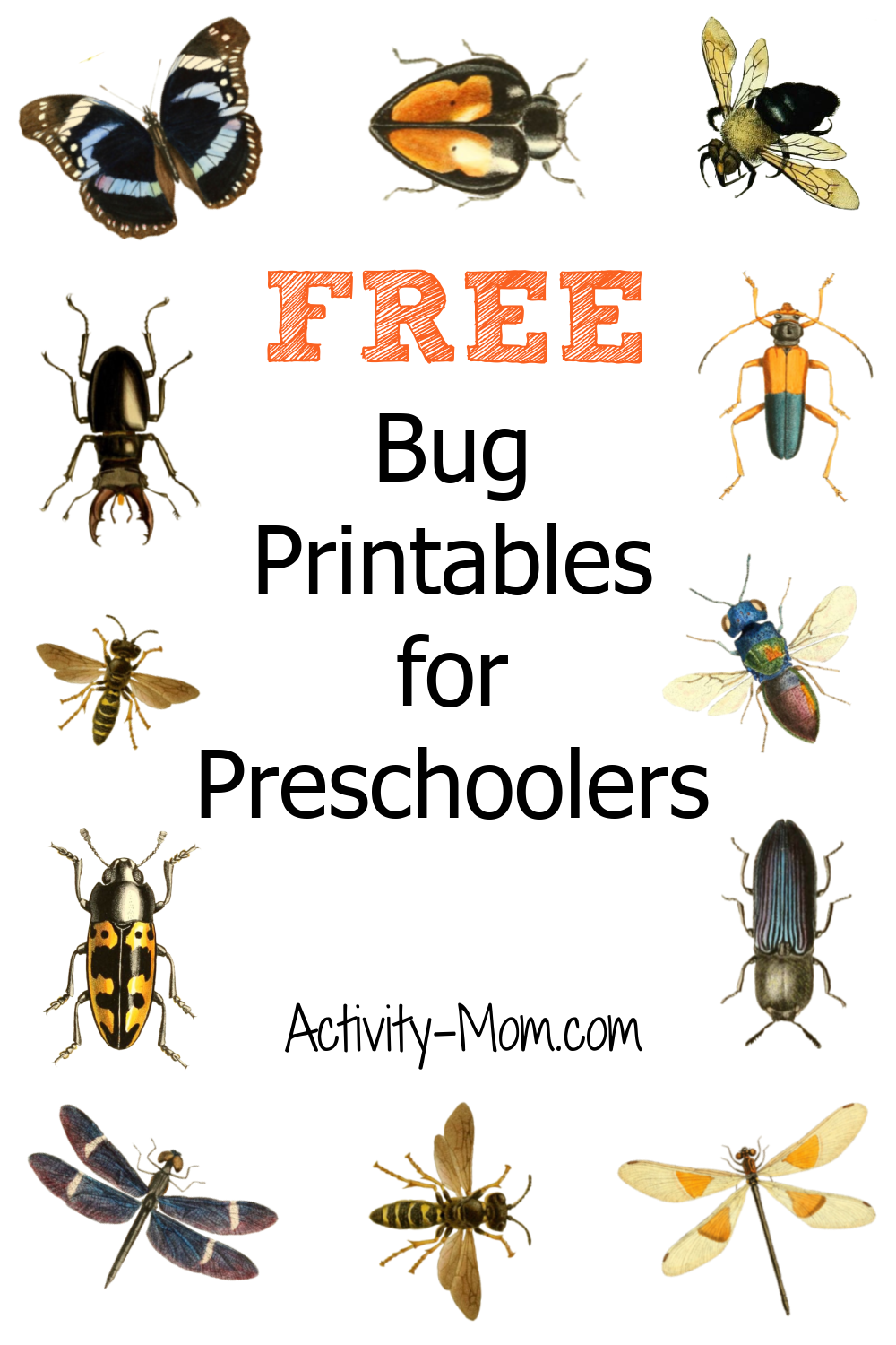 Free Preschool Insect Theme Printables And Activities The Activity Mom Free Preschool Insect Theme Printables And Activities The Activity Mom