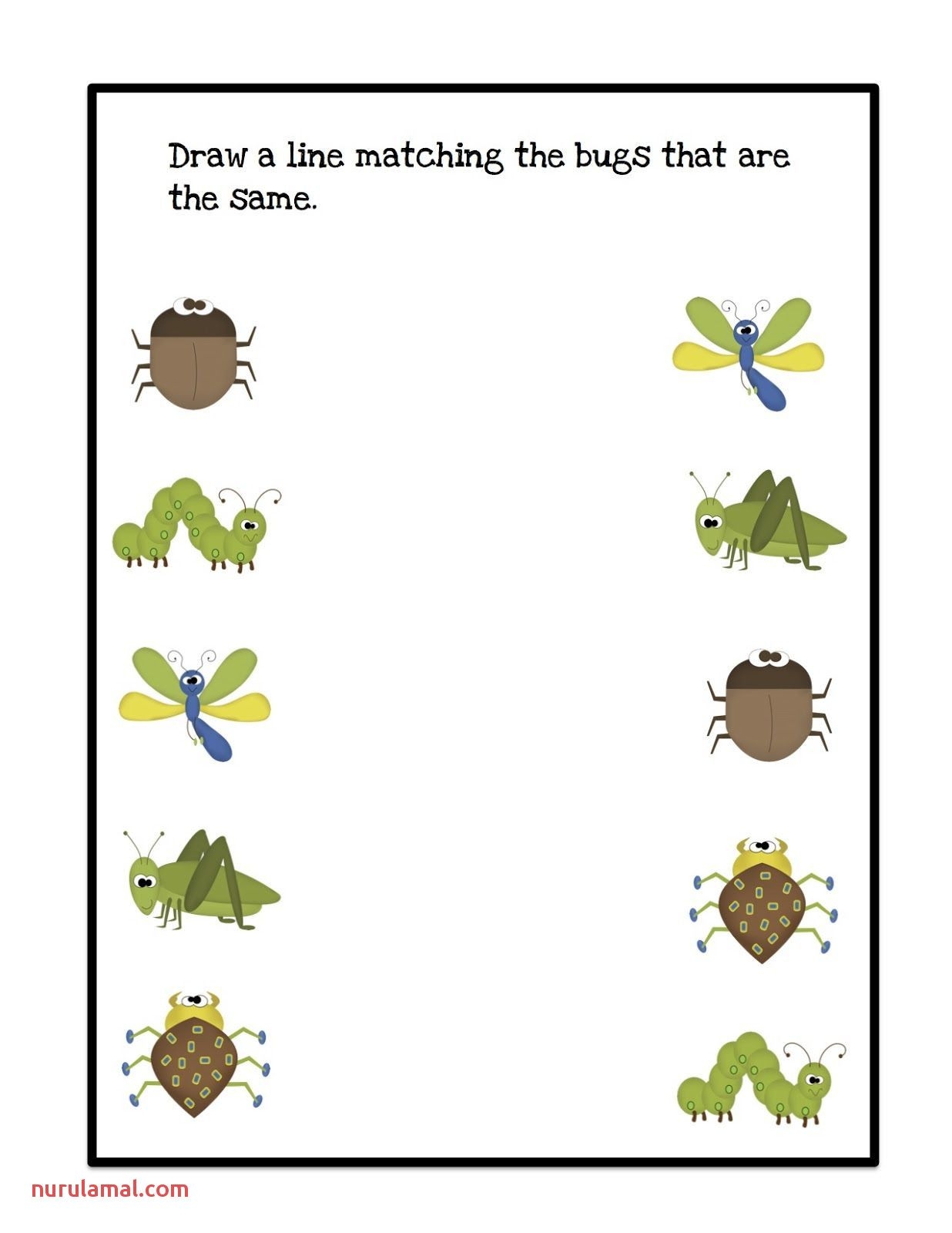 Free Preschool Insect Theme Printables And Activities The Worksheets Library Free Preschool Insect Theme Printables And Activities The Worksheets Library