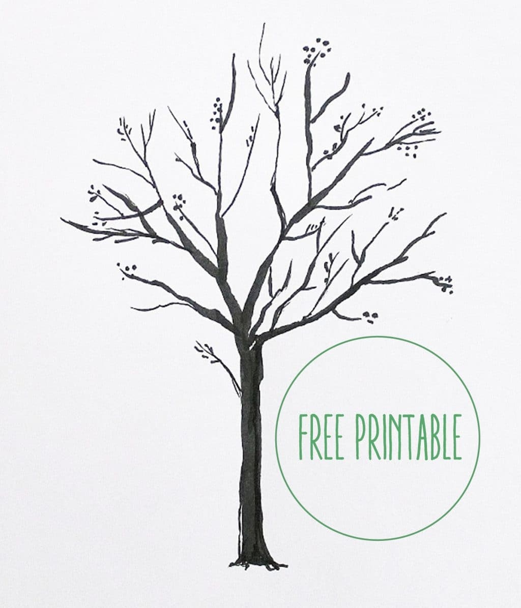 Blank Family Tree Free Printable