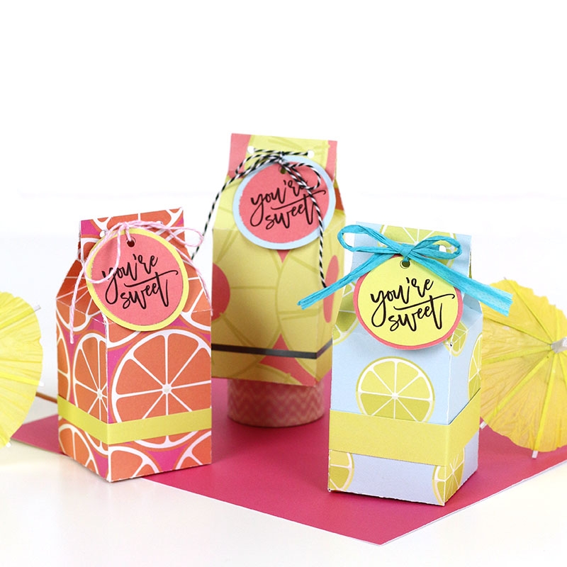 Free Printable Milk Carton Treat Box Template And Cut File 