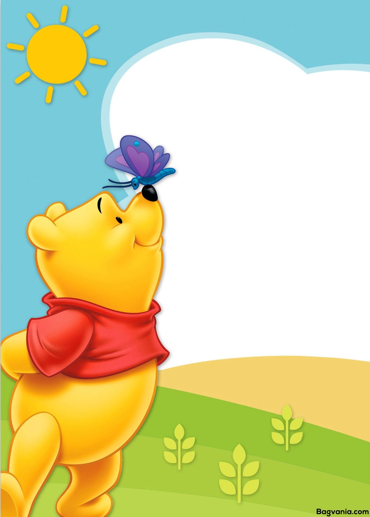 Free Printable Winnie The Pooh Birthday Invitation Wording