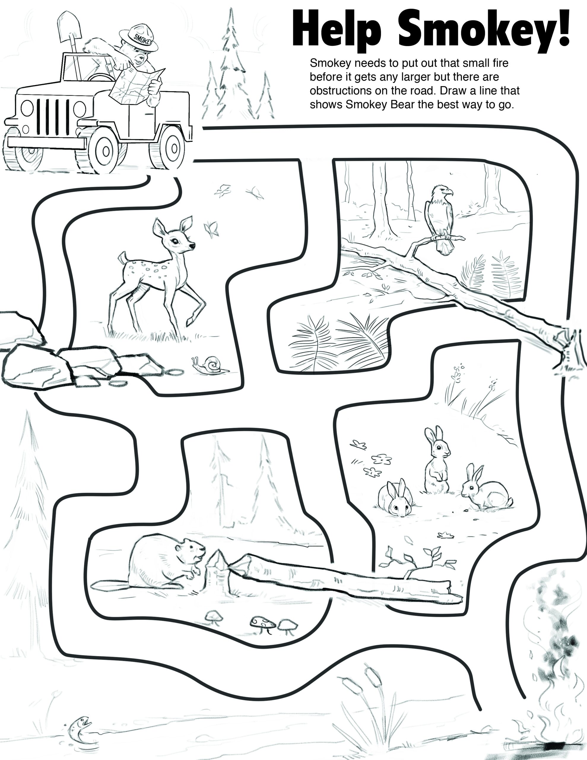 Free Smokey The Bear Printables