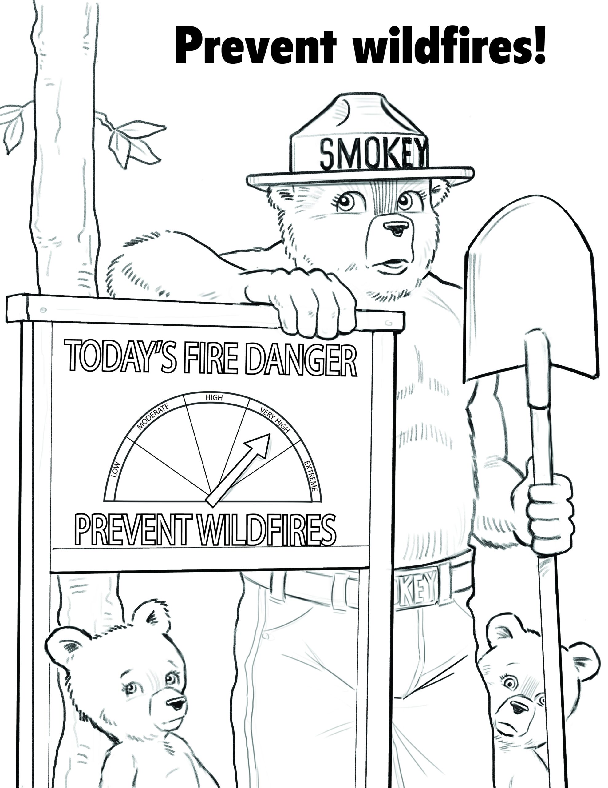 Library Toolkit Smokey Bear Reading Challenge
