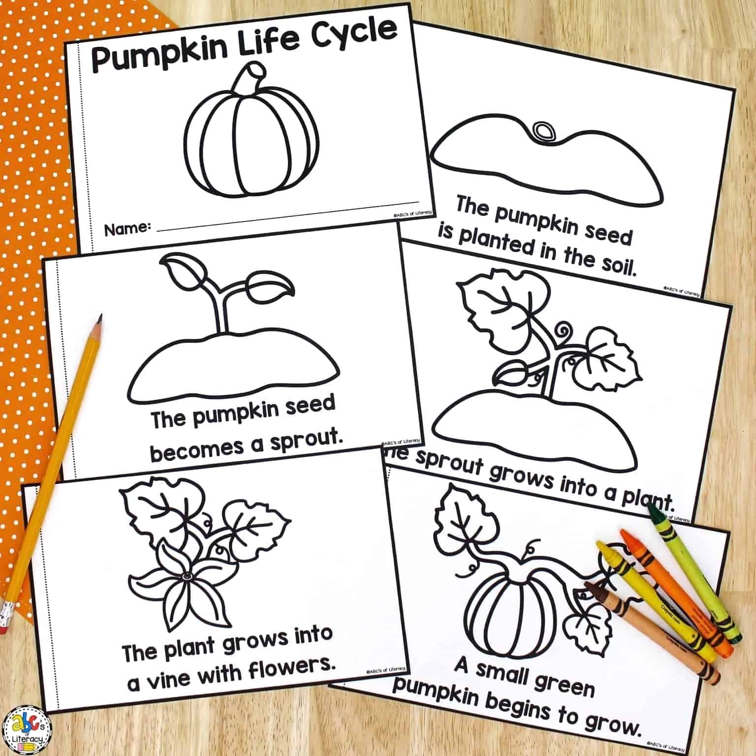 Pumpkin Life Cycle Free Printable