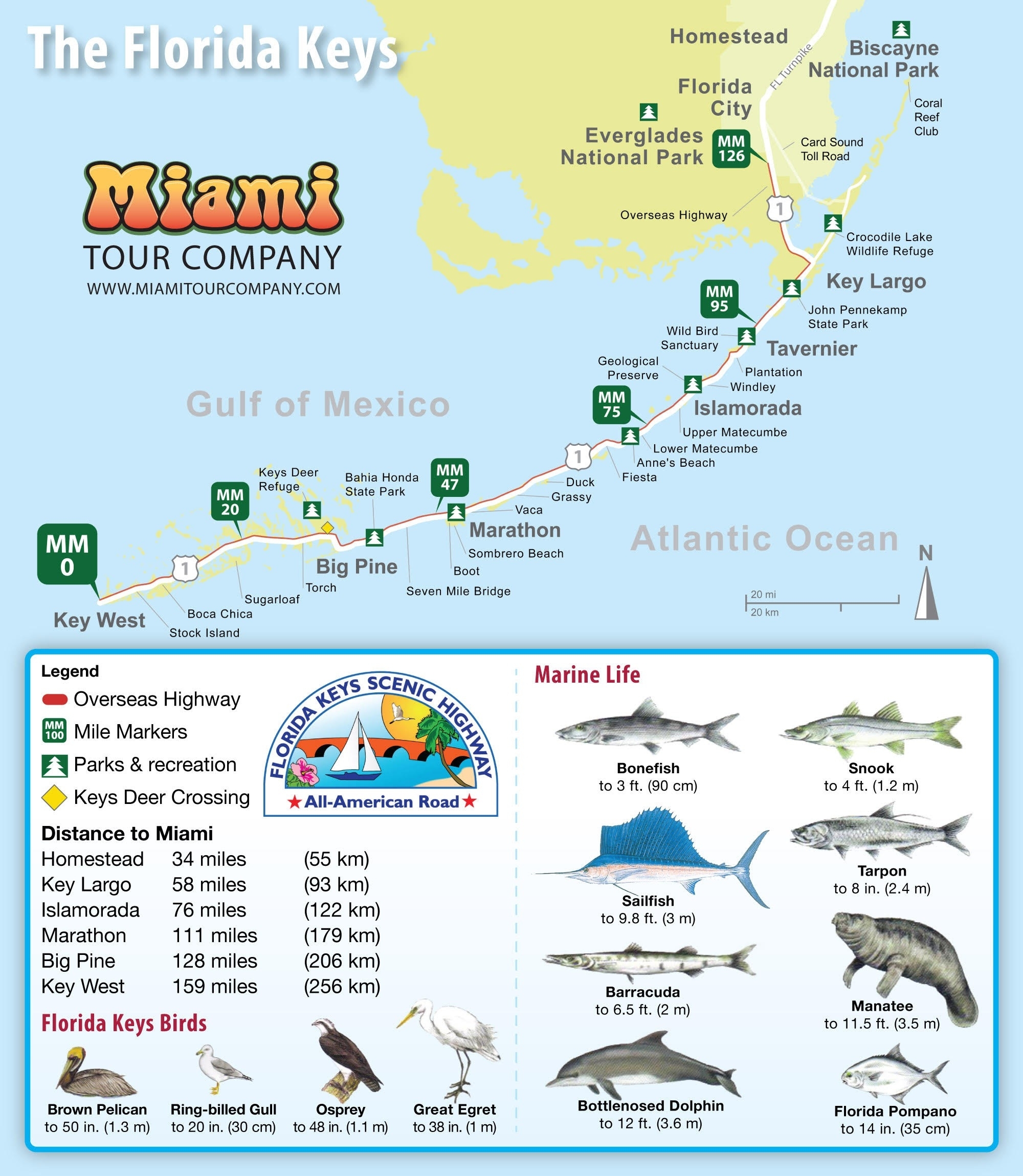 Printable Map Of Florida Keys