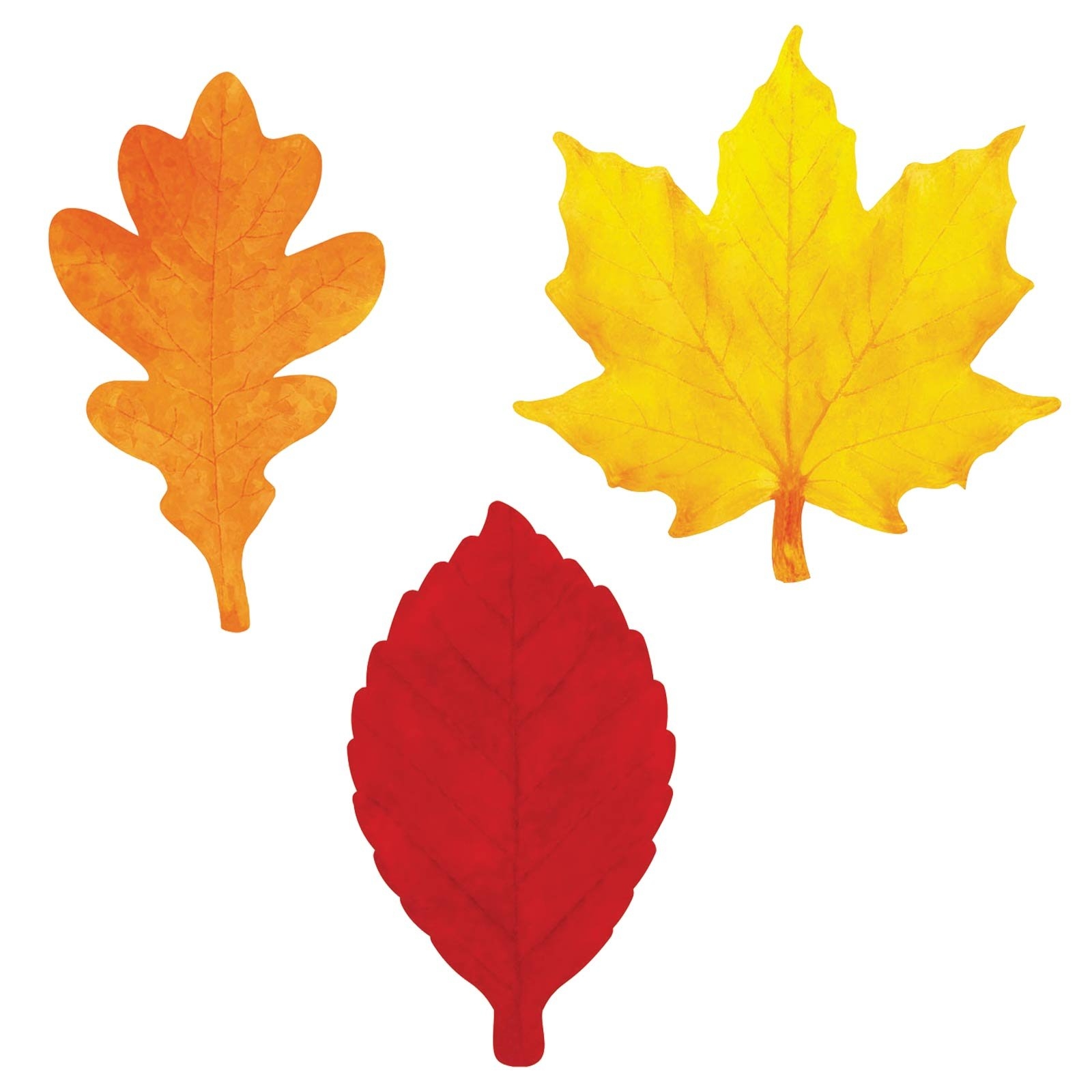 Free Color Printable Leaf Template