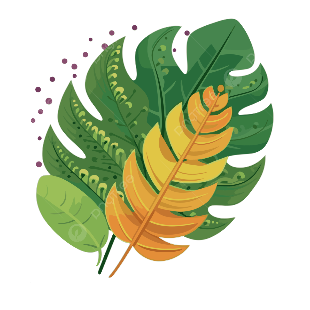 Safari Leaves PNG Vector PSD And Clipart With Transparent Background For Free Download Pngtree