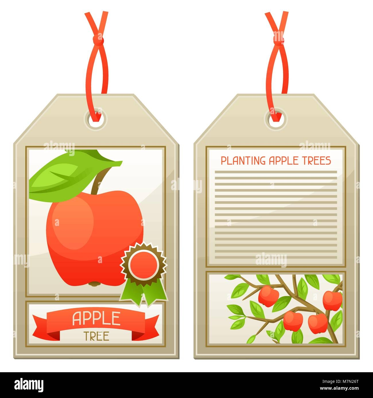 Sale Tag Of Seedlings Apple Trees Instructions For Planting Tree Stock Vector Image U0026 Art Alamy