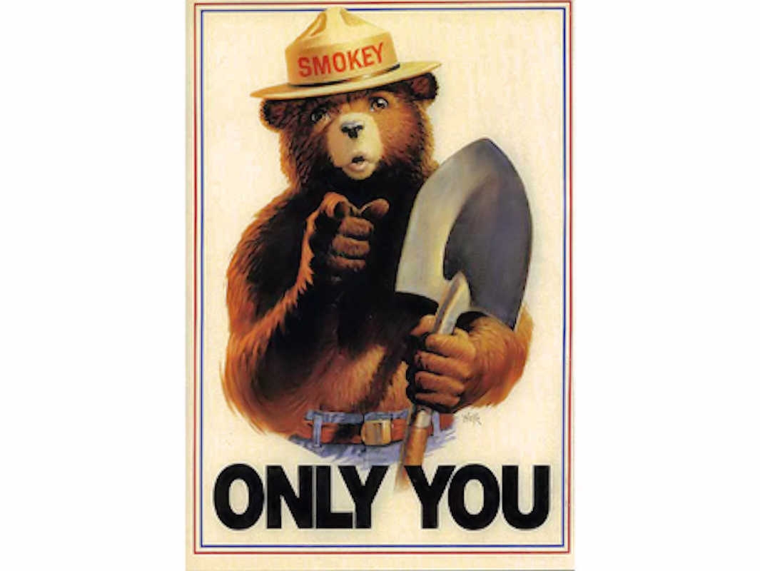 Smokey Bear A Unit Study On Fire U0026 Fire Safety DIY Homeschooler