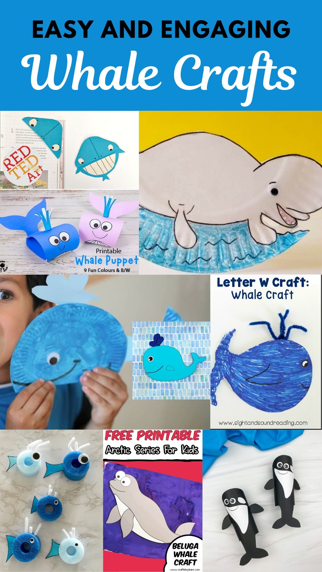 Whale Of A Time Fun And Easy Whale Crafts For Preschool 