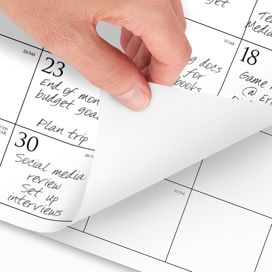 Amazon AT A GLANCE 2025 Wall Calendar Monthly 15