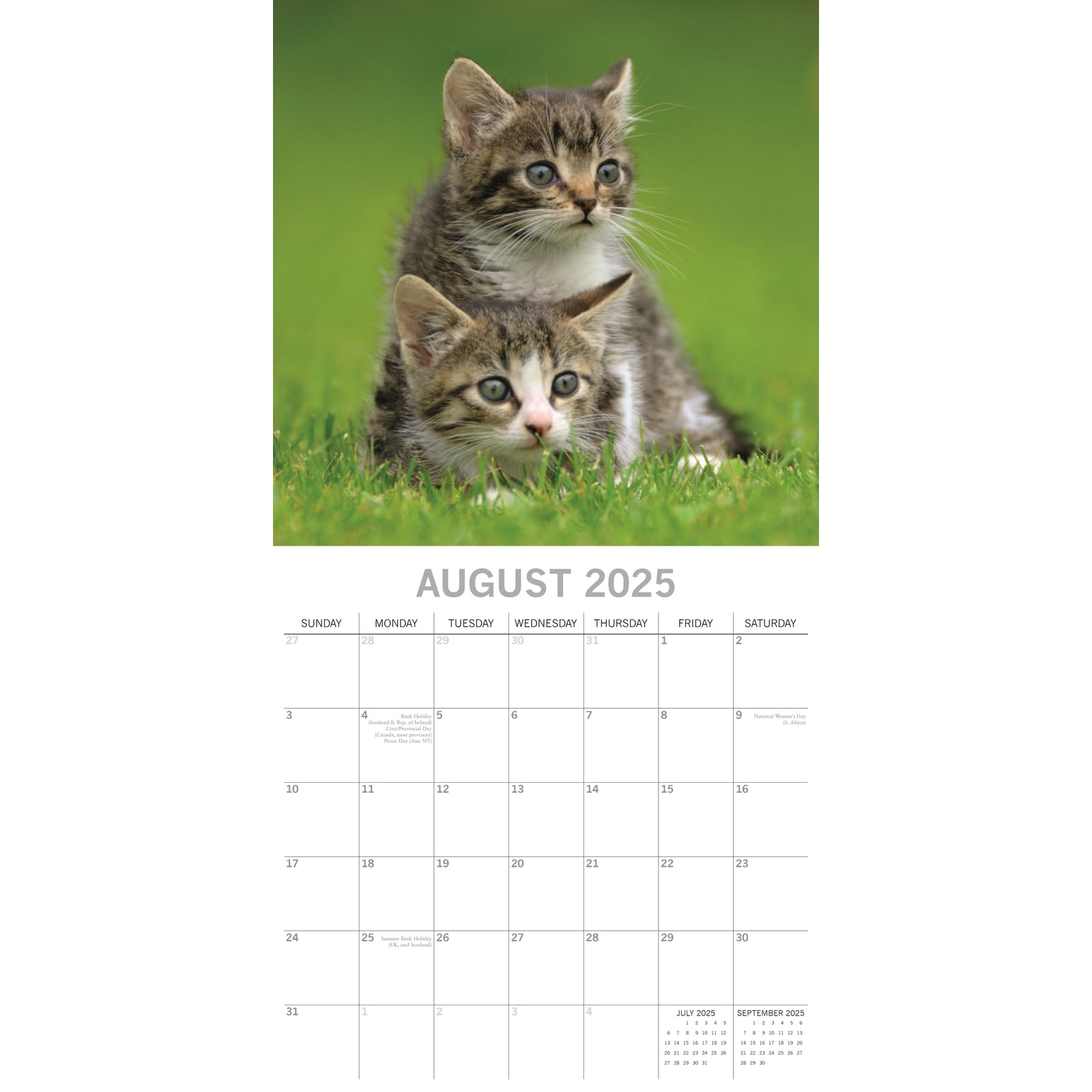 Amazon The Gifted Stationary 2025 Square Wall Calendar Cats Amazon The Gifted Stationary 2025 Square Wall Calendar Cats