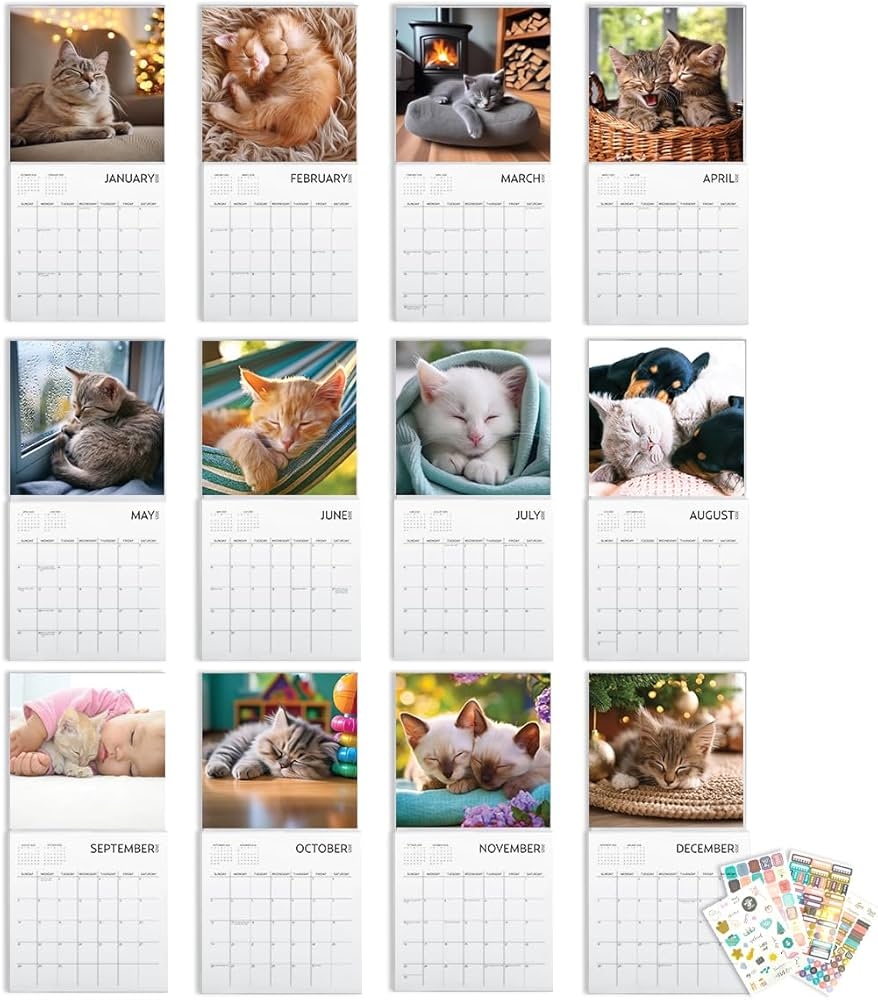 Artico Cat Calendar 2023 With Sticker Pack Kitten Square Large Wall Calendar 12 X 12 Inch Yearly Cat Lover s Calendar And Sticker Set