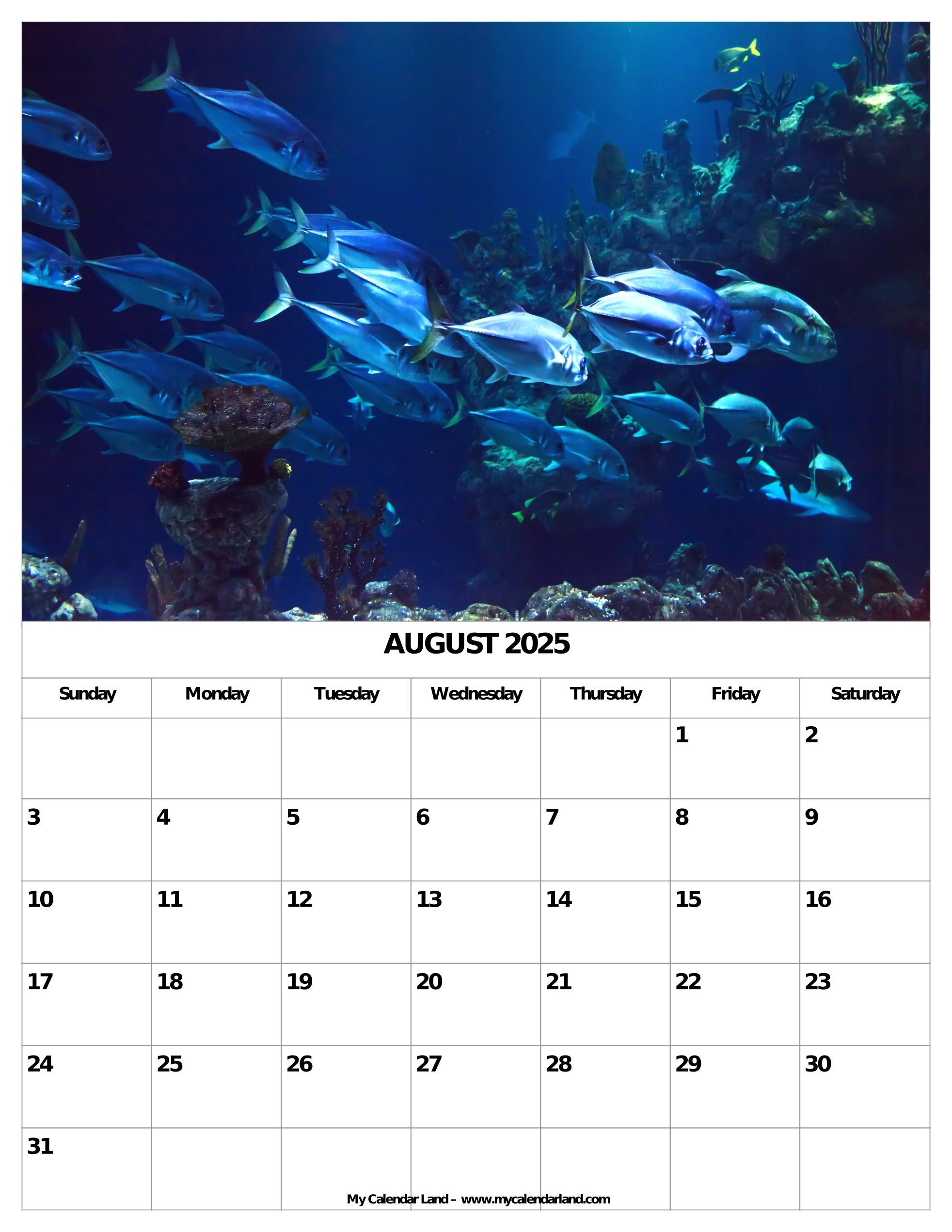August 2025 Calendar My Calendar Land