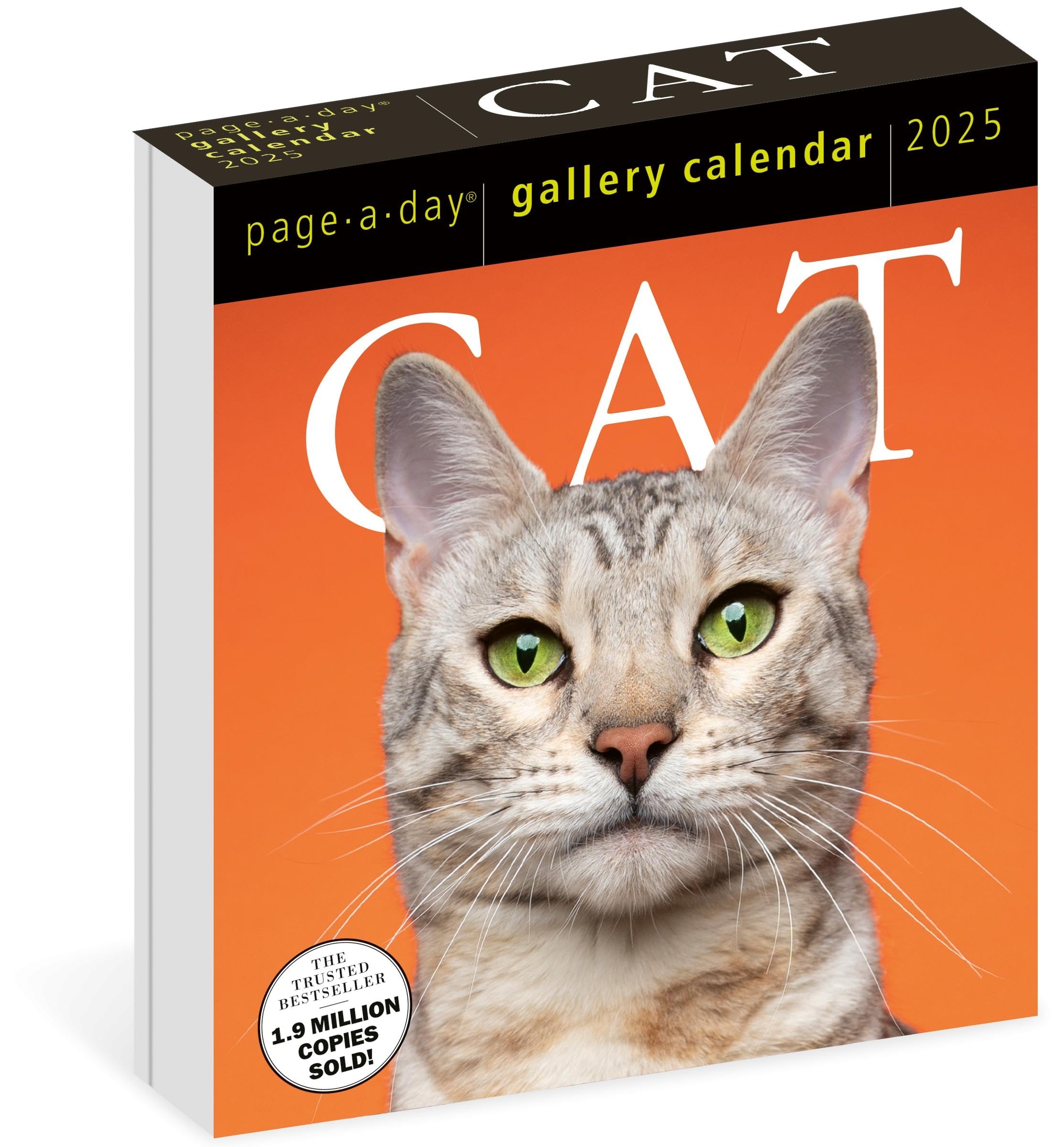 Cat Page A Day Gallery Calendar 2025 A Delightful Gallery Of Cats For Your Desktop Cat Page A Day Gallery Calendar 2025 A Delightful Gallery Of Cats For Your Desktop