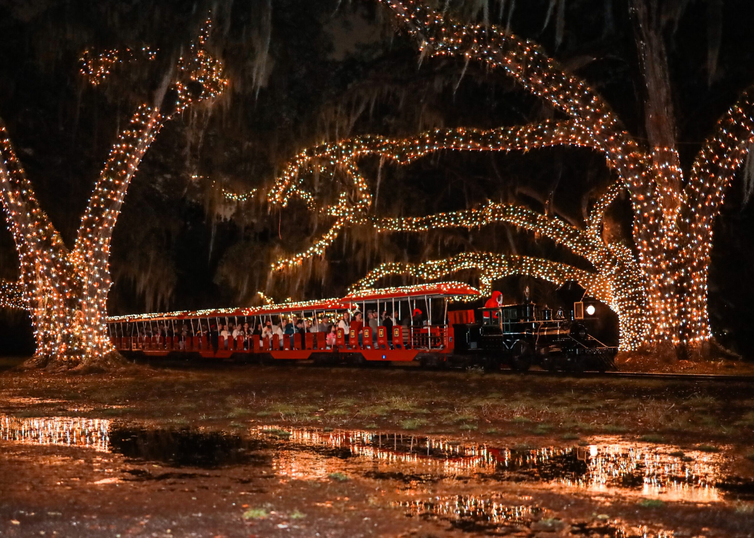 Events From November 28 2025 November 28 2025 Recurring New Orleans City Park