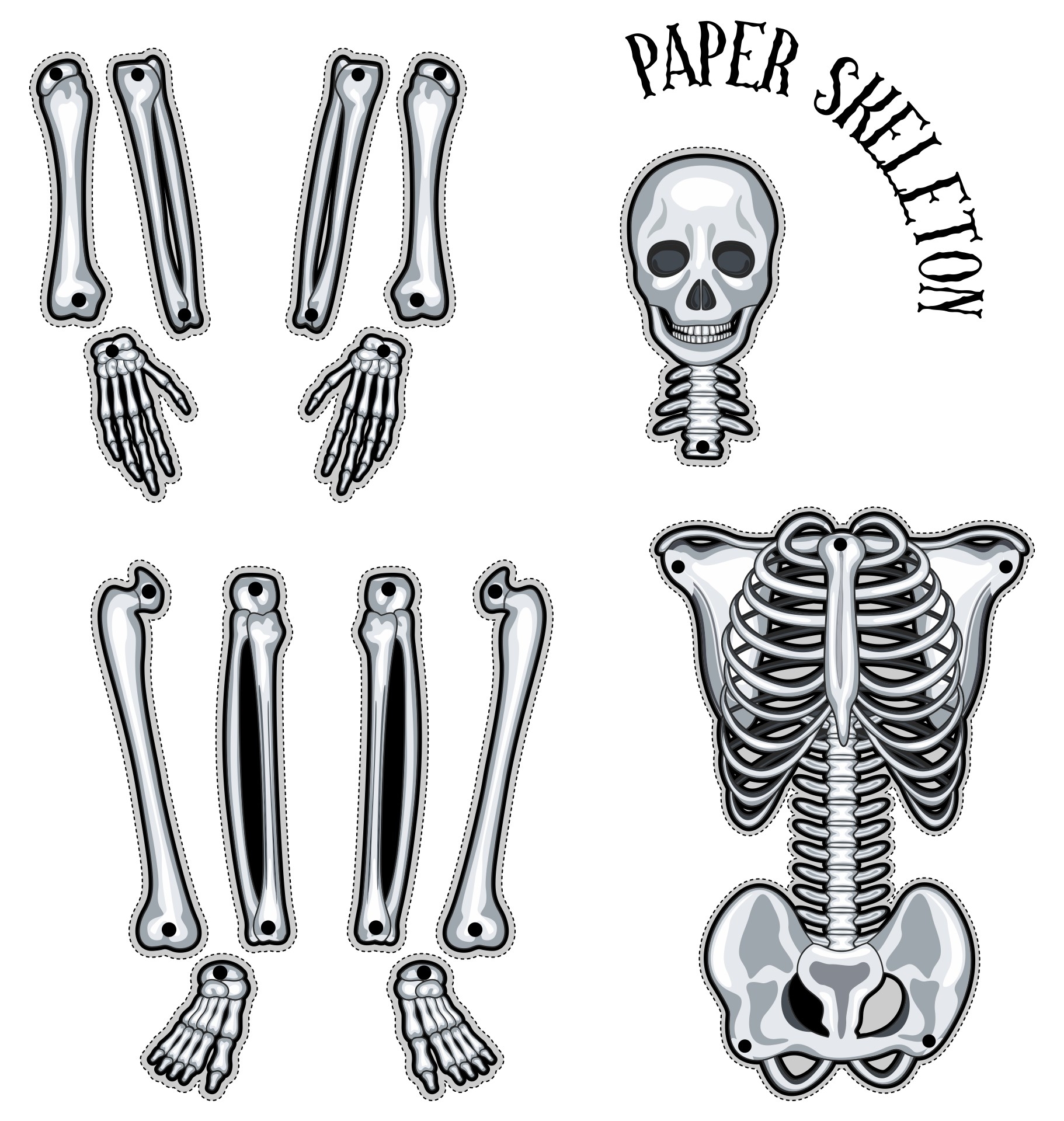 Printable Skeleton Template Free
