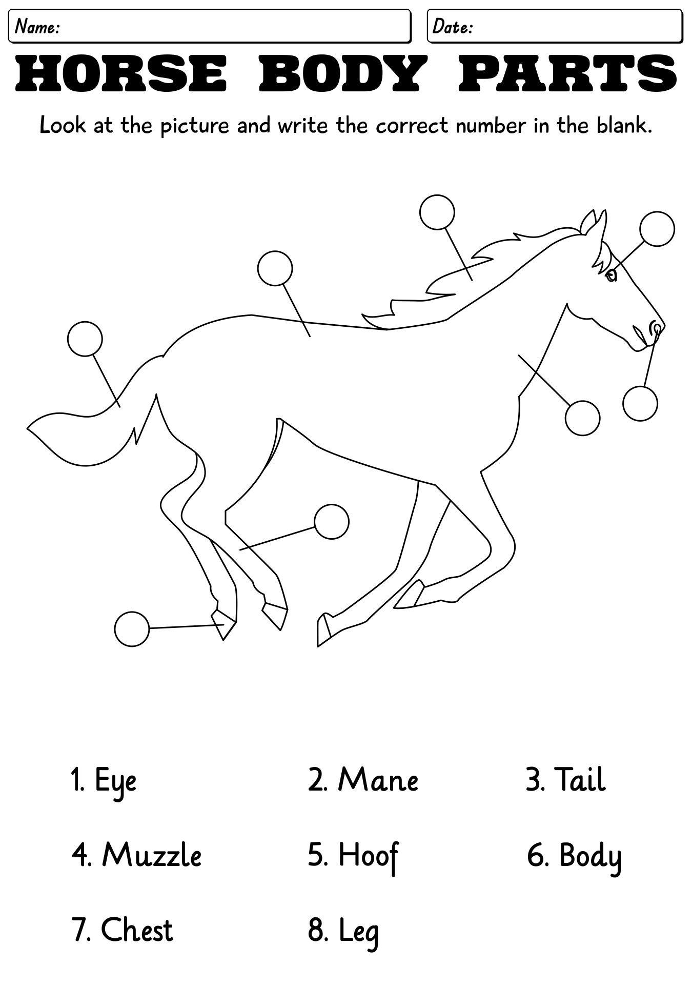 Free Printable Horse Worksheets Pdf