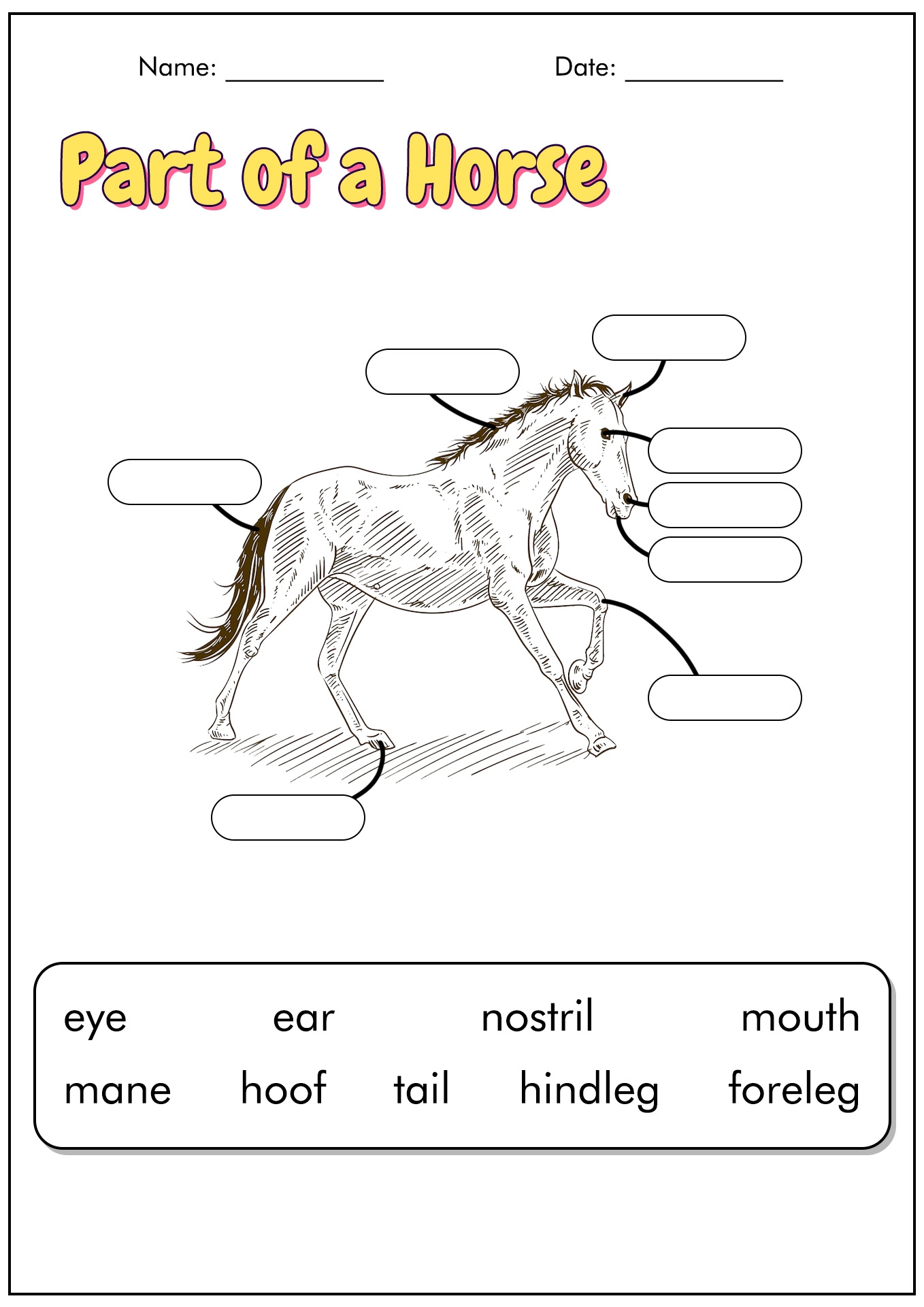 18 Horse Study Worksheets Free PDF At Worksheeto