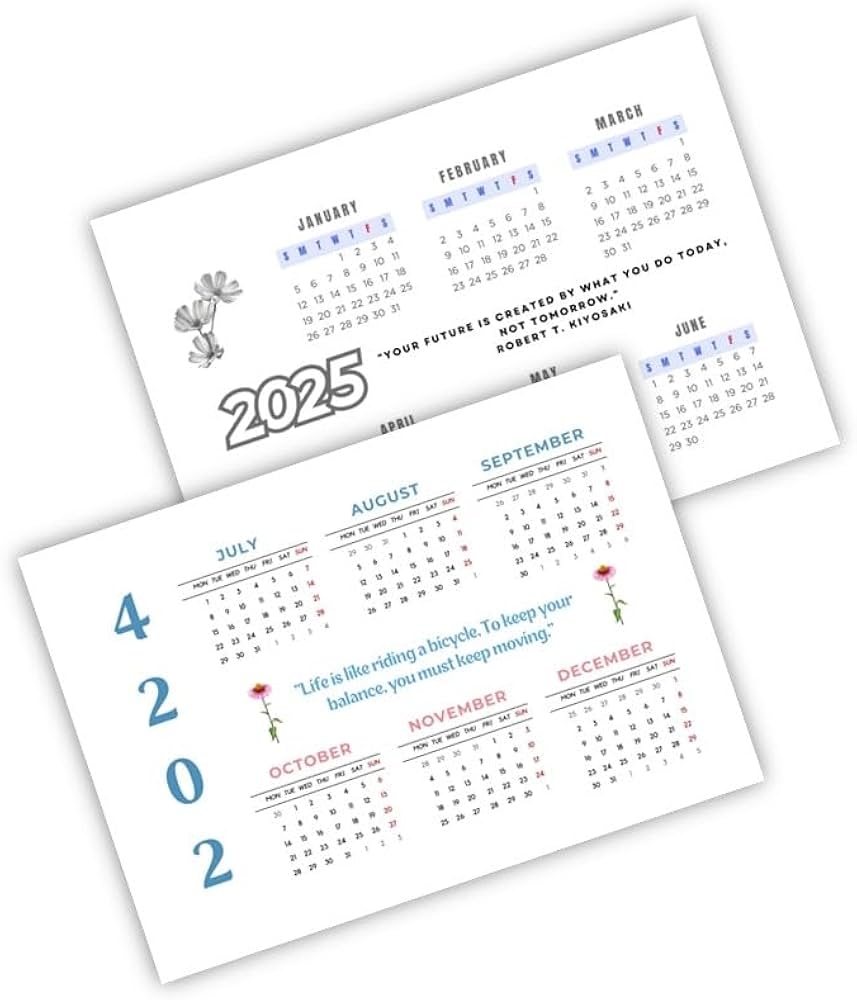  2024 2025 12 A4 1 DD2 Amazon eg