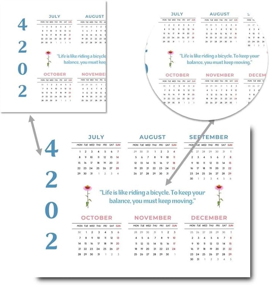  2024 2025 12 A4 1 DD2 Amazon eg