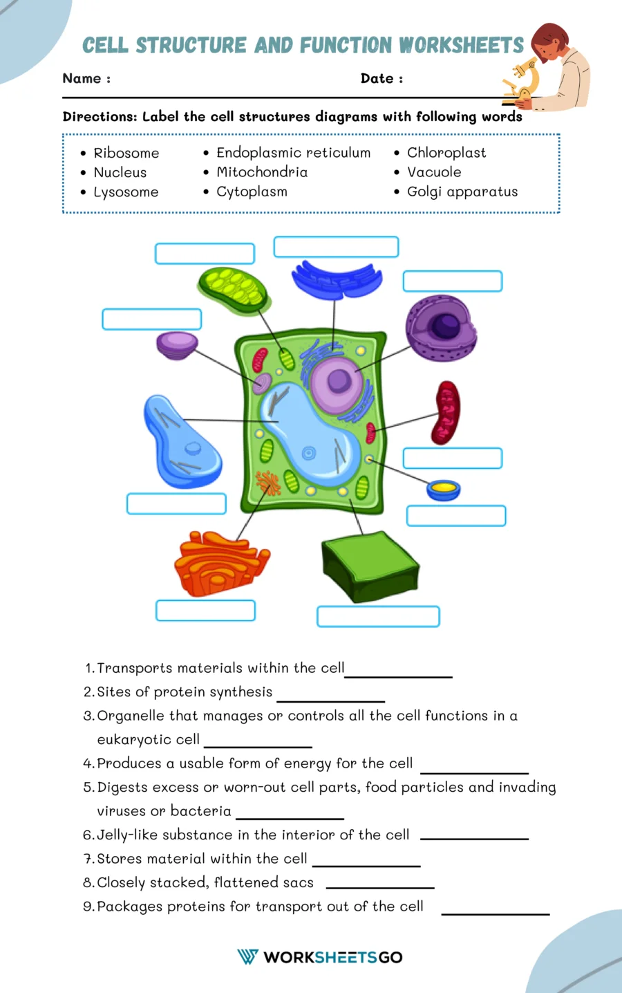 Free Printable Cell Worksheets