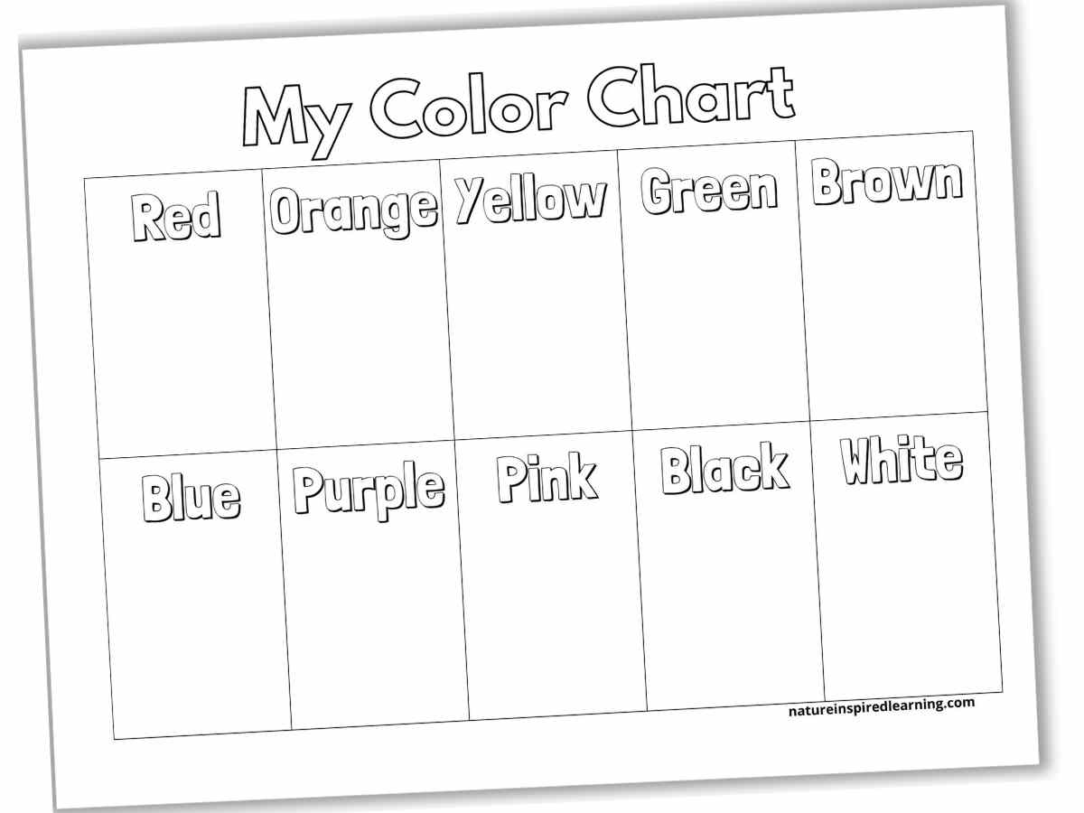 Blank Color Chart Printable