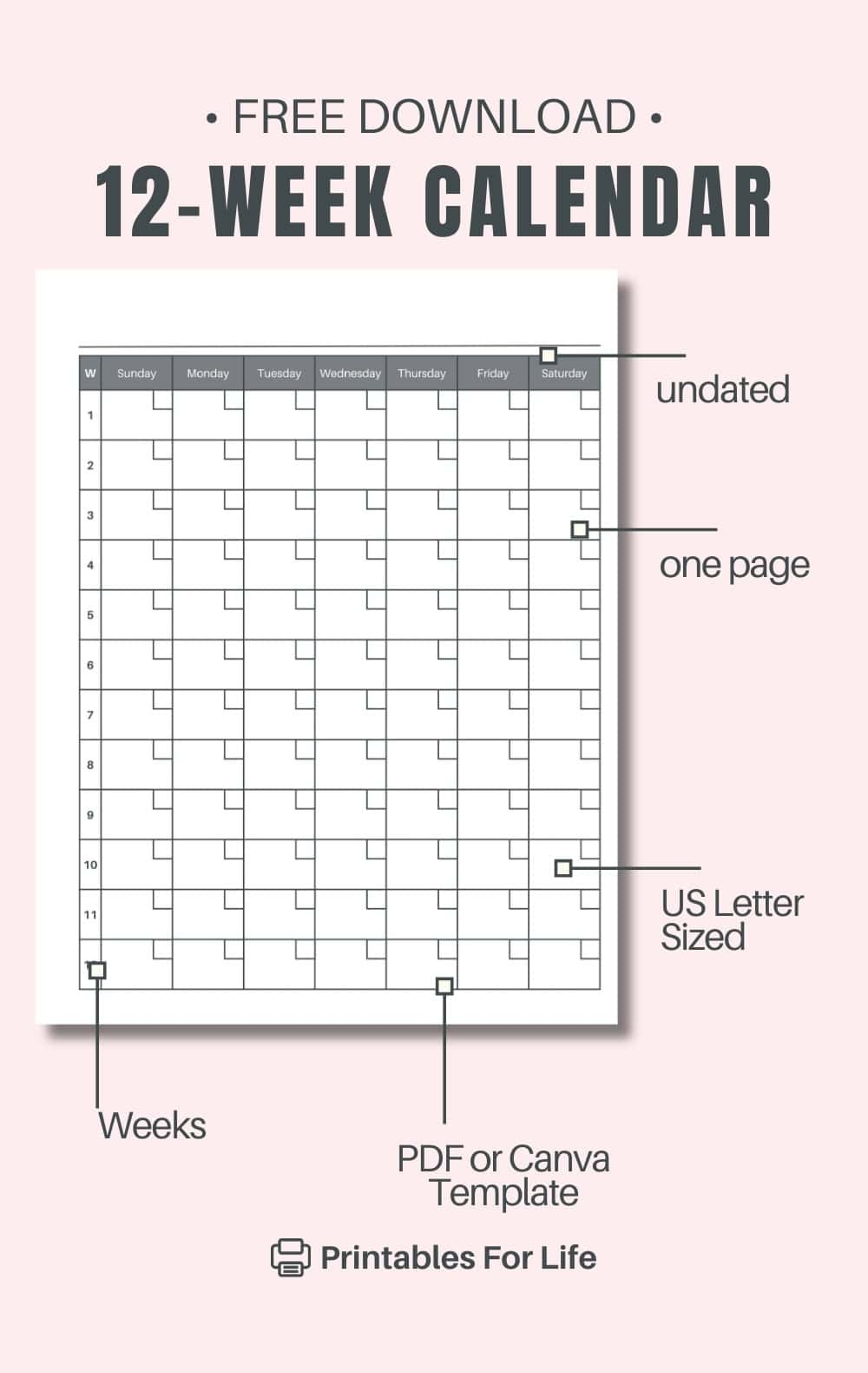 Free 12 Week Calendar Printable PDF