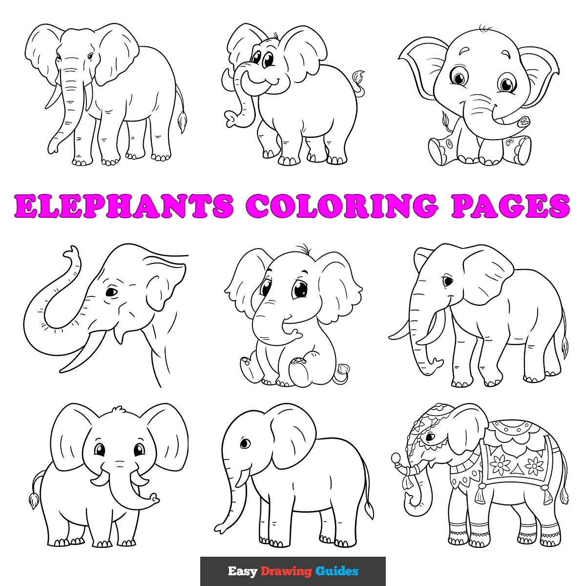 Free Elephants Coloring Pages For Kids 12 Printable Sheets