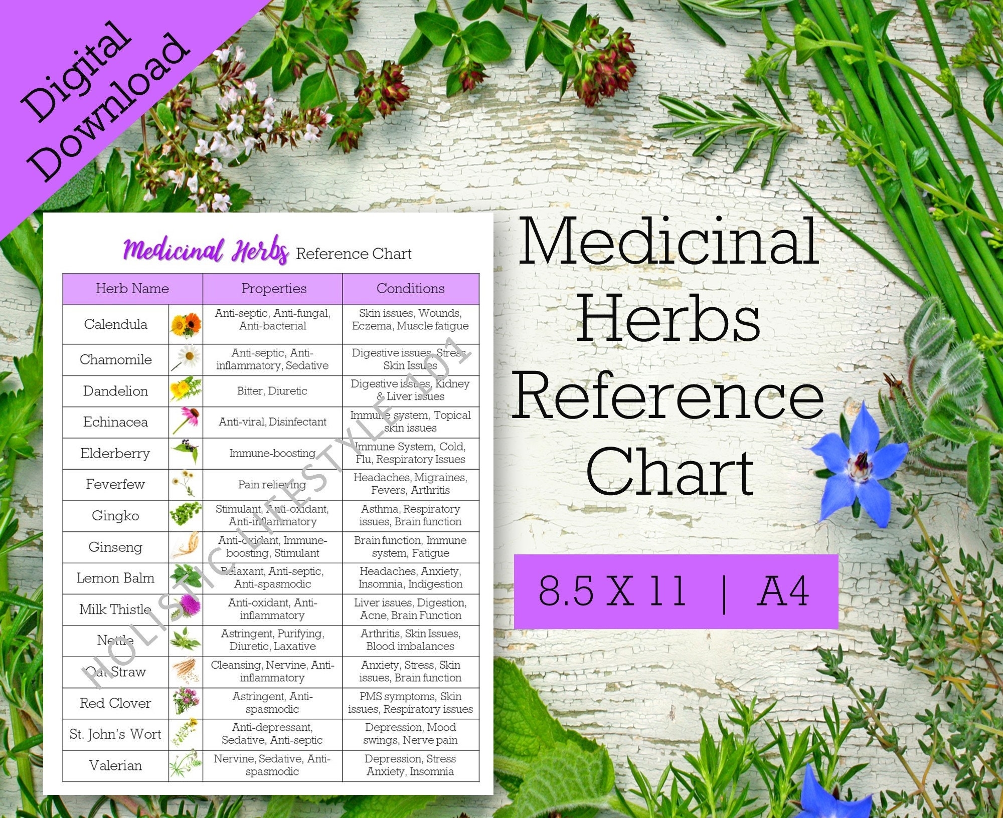 Medicinal Herbs Reference Chart List Of Herbs Printable Herbal Printable Herb Chart Common Herbs Reference Sheet Herbalism Printable Etsy