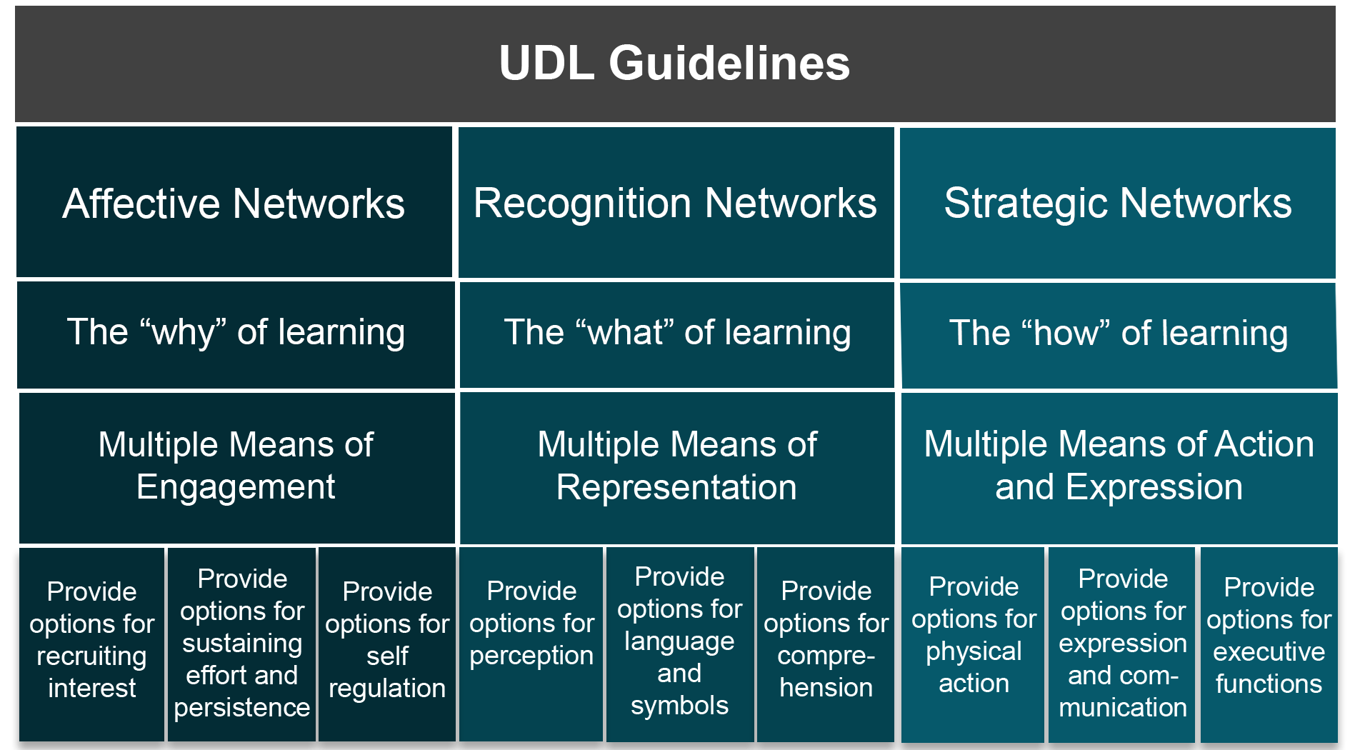 1 2 UDL Guidelines Universal Design For Learning UDL For Inclusion Diversity Equity And Accessibility IDEA 