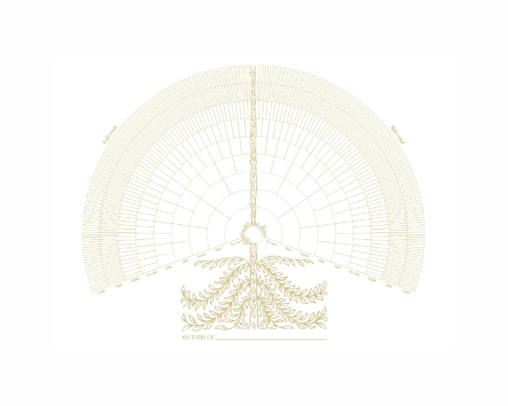 10 12 Generation Family Tree Printable GOLD 