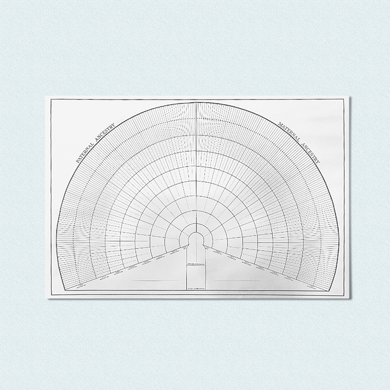 10 Generation Fan Chart AFGS