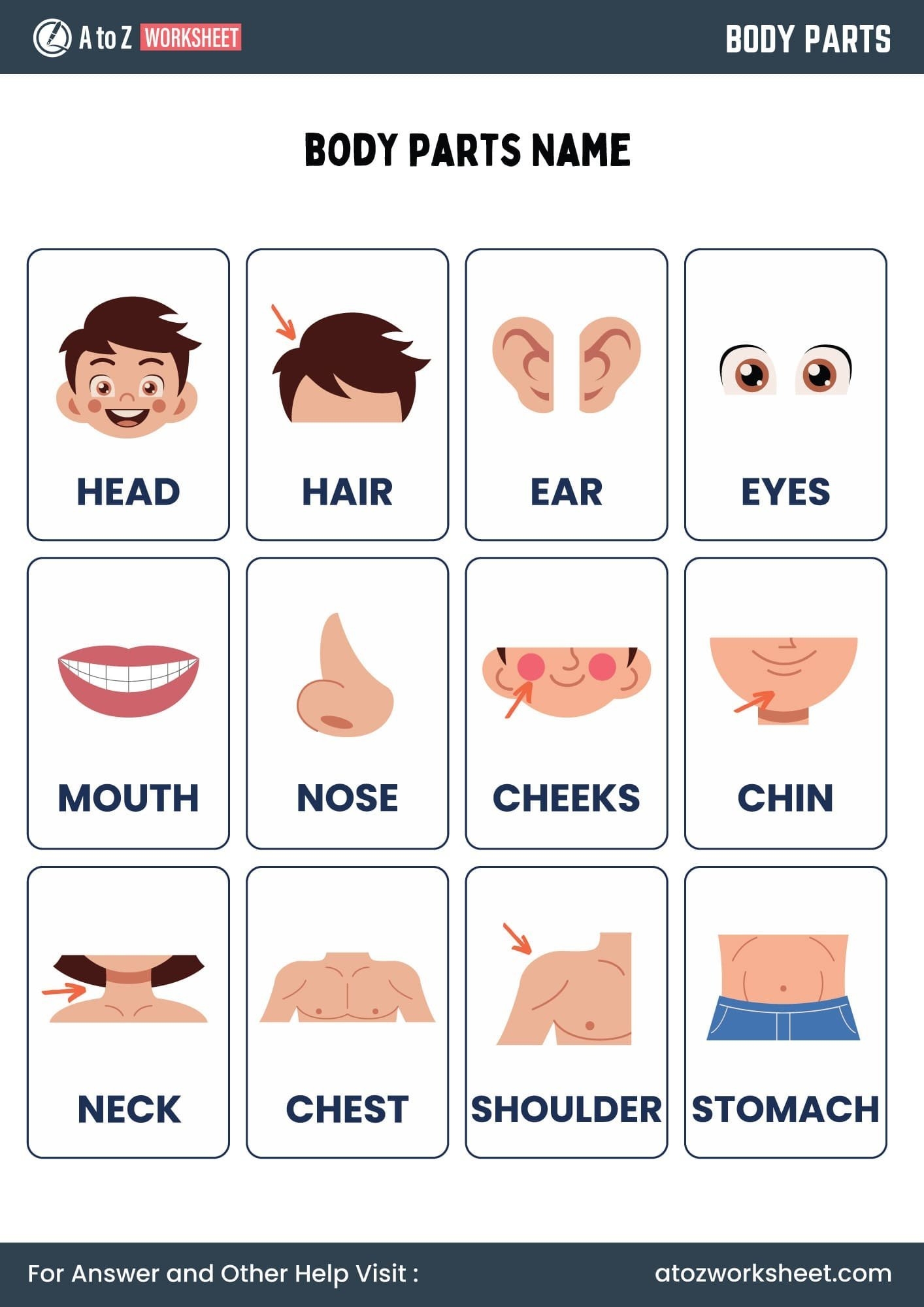Body Parts Chart For Kids Printable