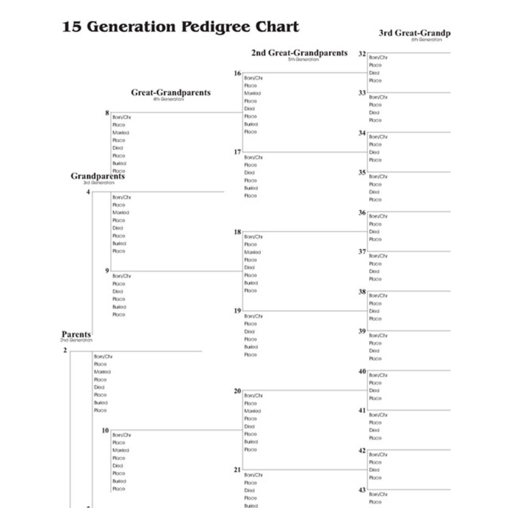 20 Generation Pedigree Chart Printable
