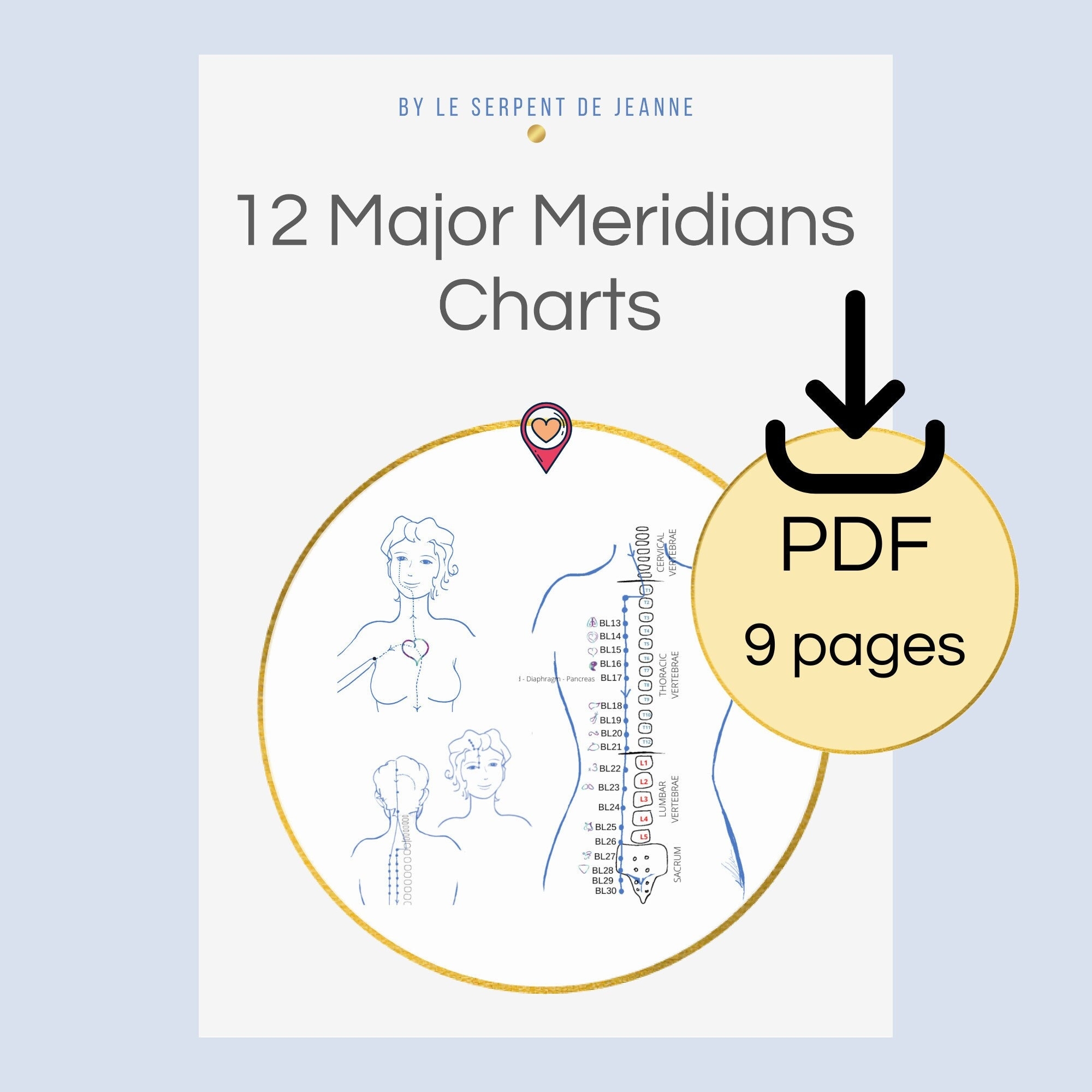 12 Major Acupuncture Meridians Chart PDF Printable Chinese Medicine Guide Instant Download Acupuncture Chart Etsy