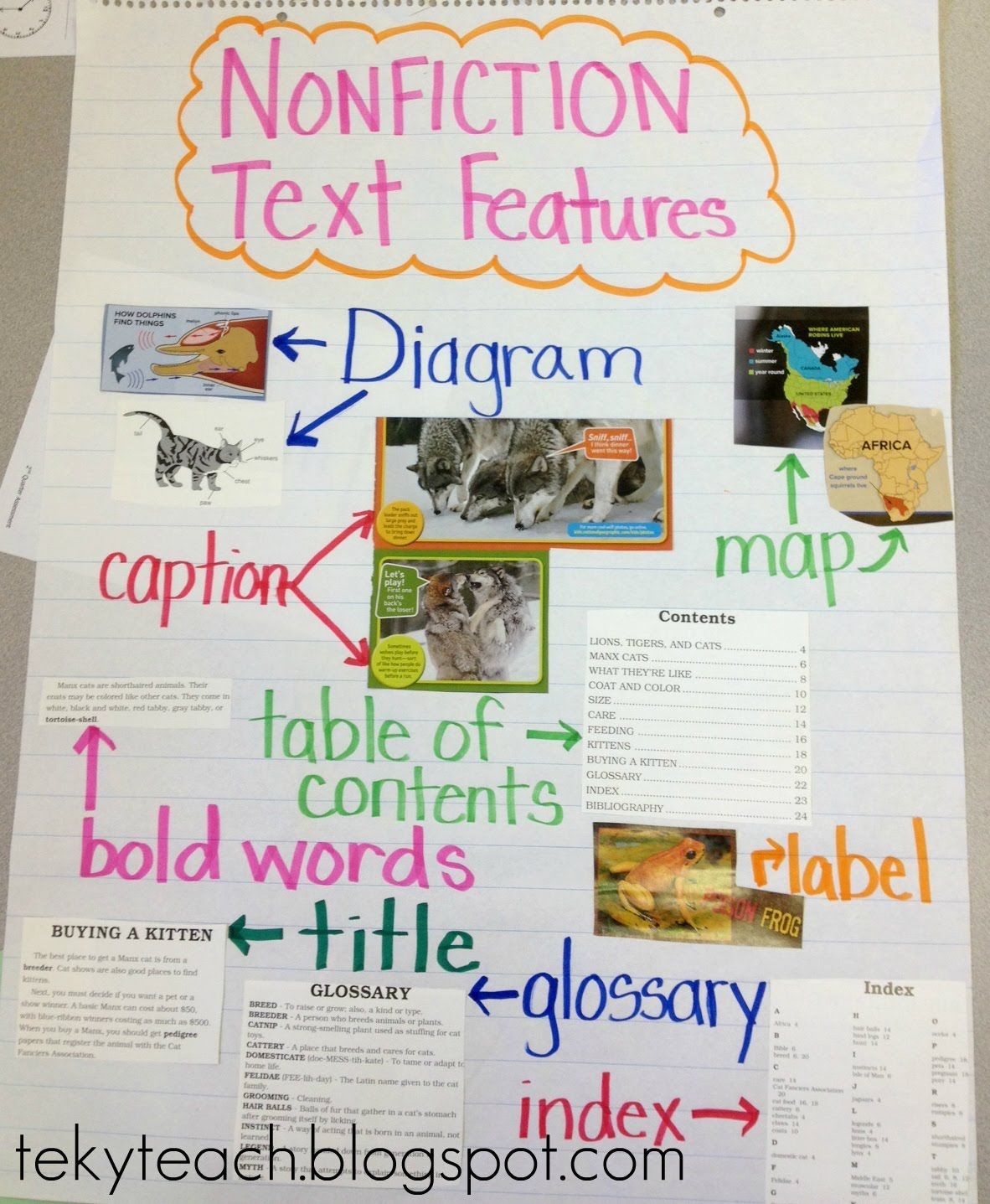 19 Text Features Of Nonfiction Ideas Text Features Teaching Reading 4th Grade Reading