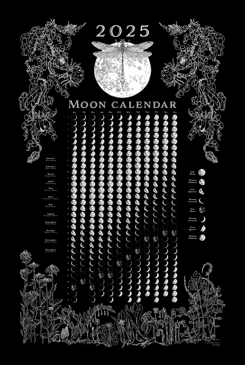 2025 Moon Phase Calendar Download PNG United Plant Savers