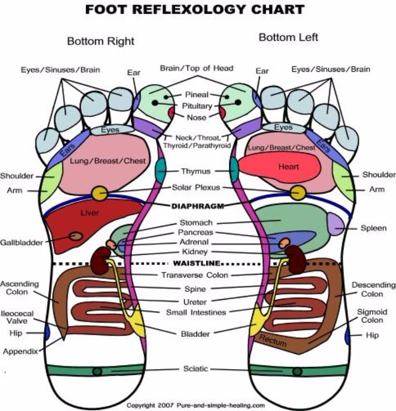 Printable Reflexology Chart Results