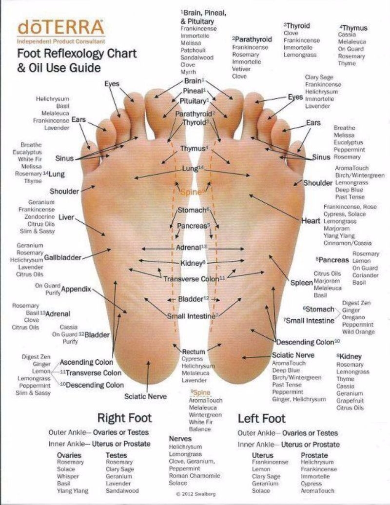 Free Printable Acupressure Points Chart