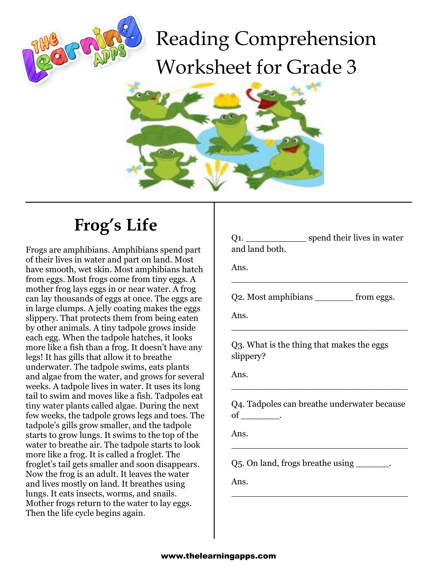 3rd Grade Reading Comprehension Printable 3rd Grade Reading Worksheets Library